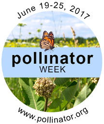 Pollinator week